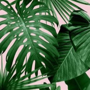 Meet your Posher, Lainey